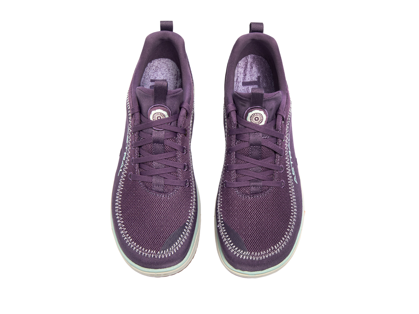 Aurora Purple