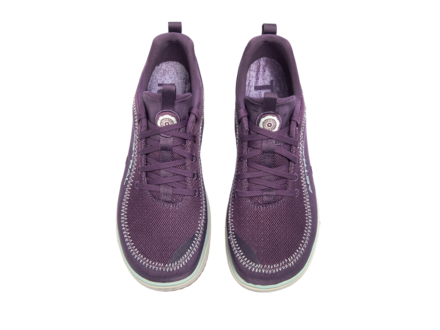 Aurora Purple