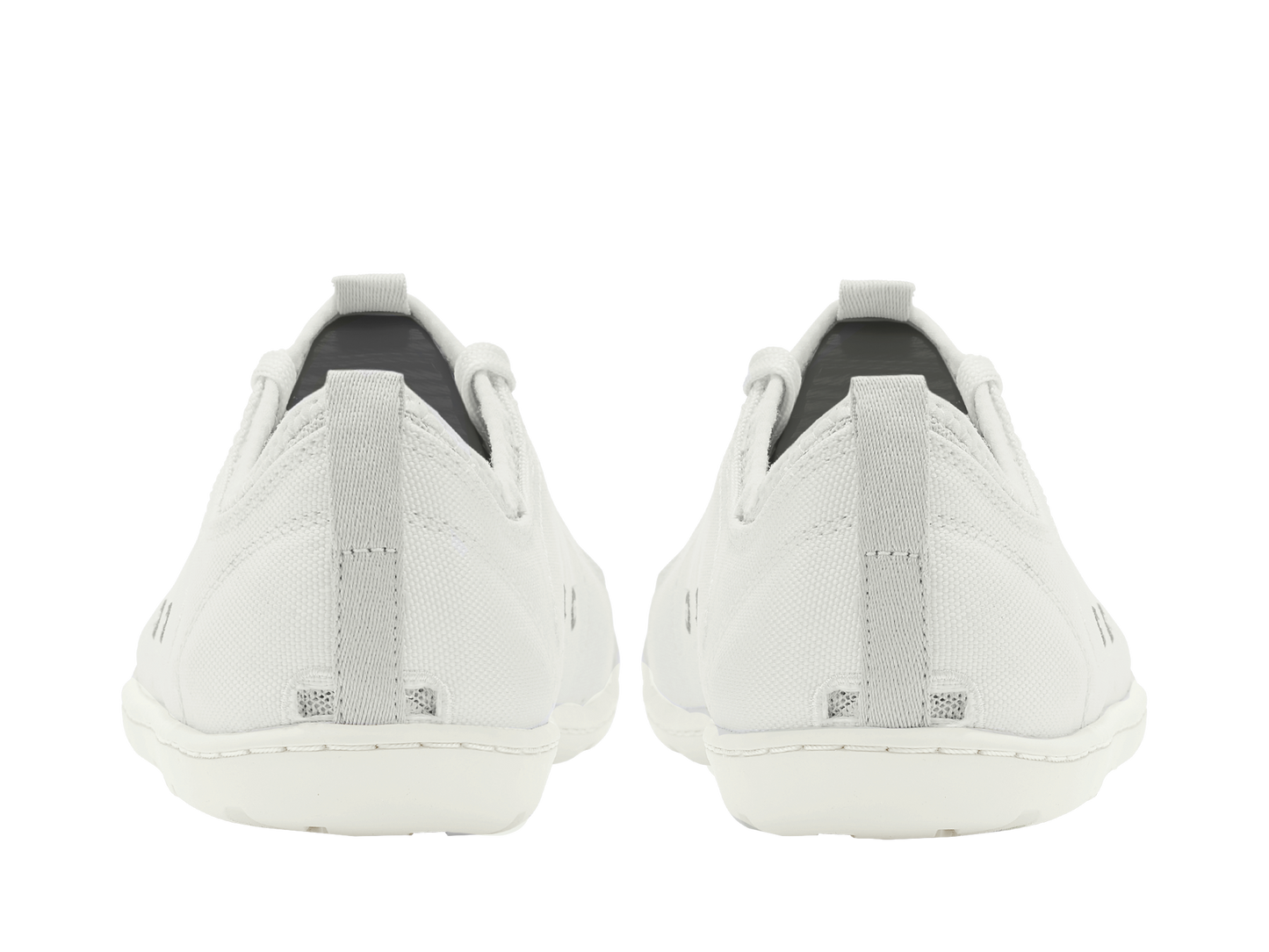 Rapid White