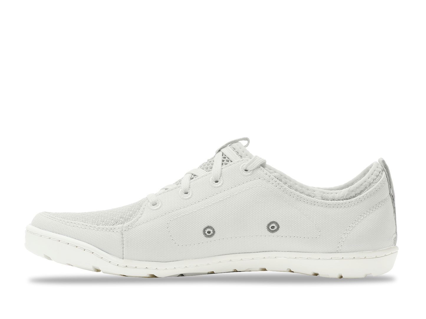 Rapid White