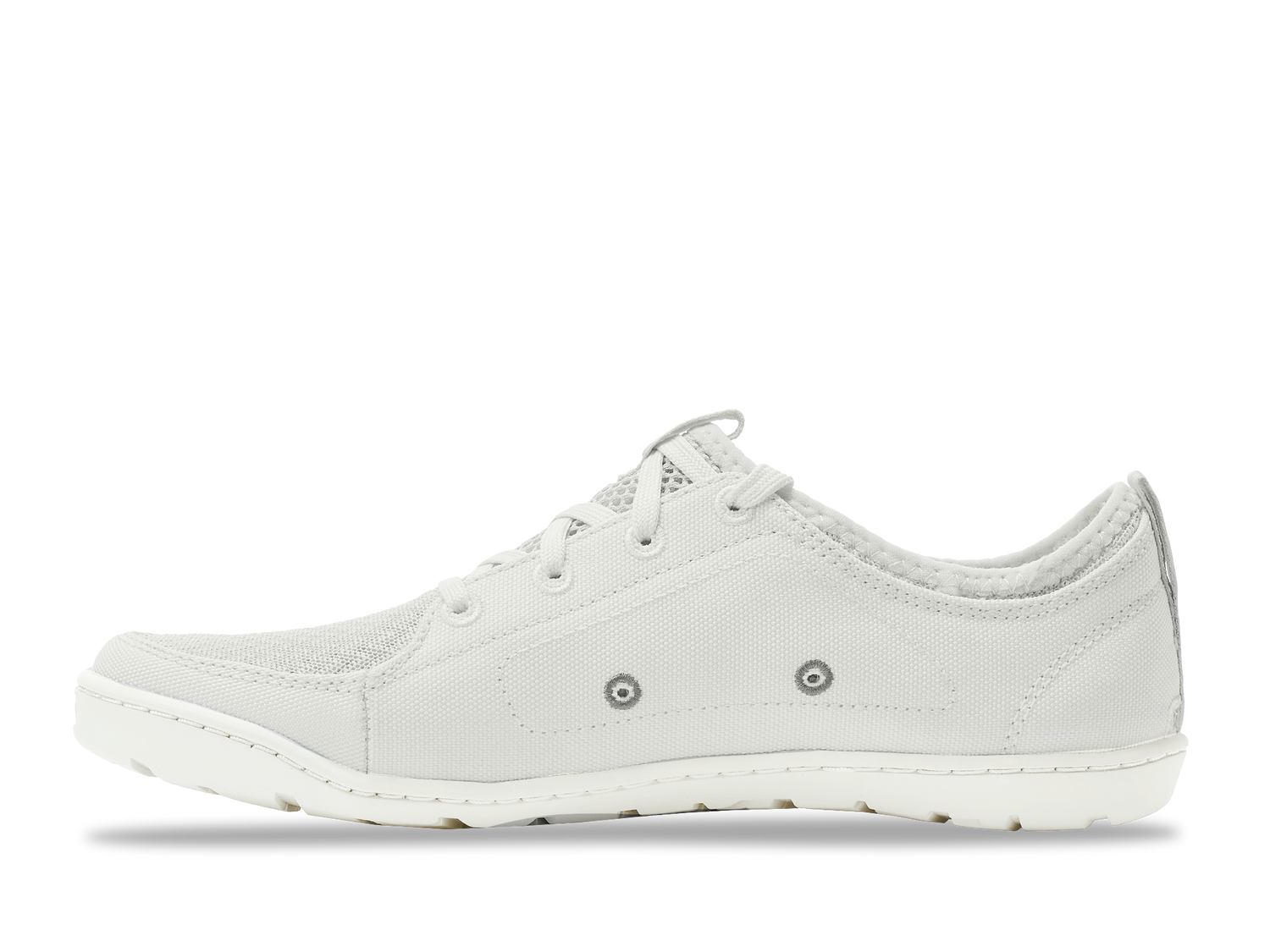 Rapid White