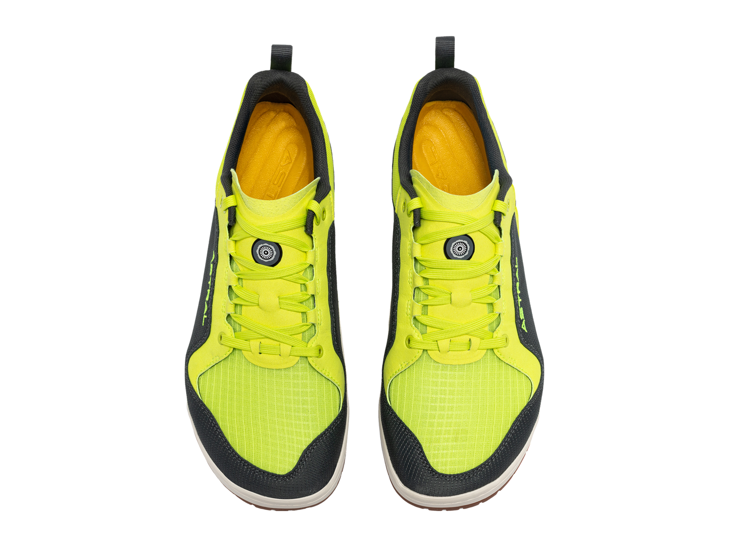 Glow-worm Gray
