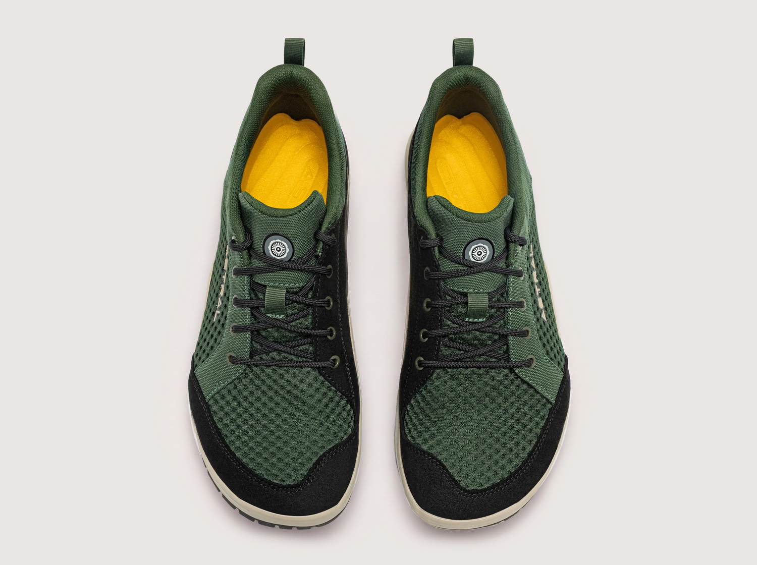 Fern Green