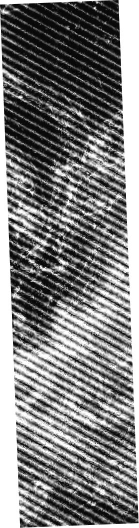 Texture background, black and white stripes