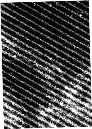 Texture background, black and white