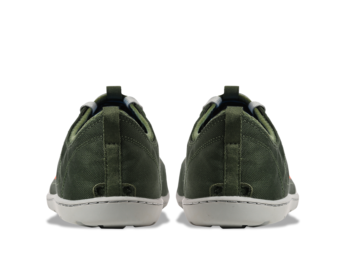 Fern Green