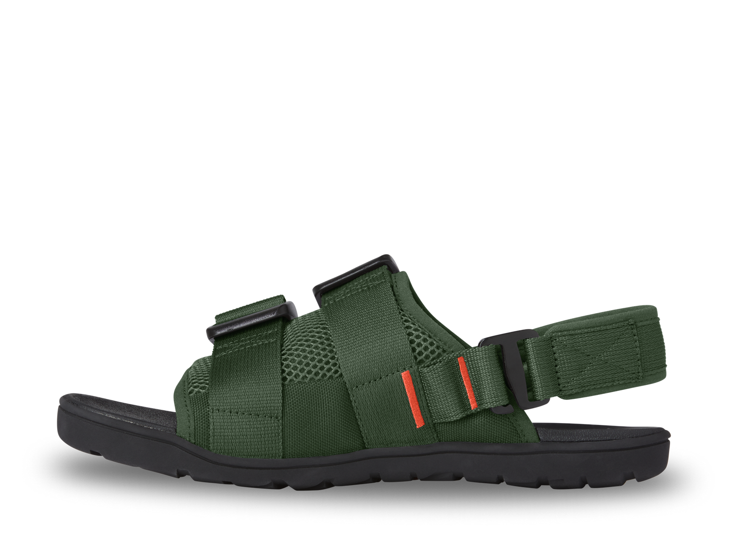 Cedar Green