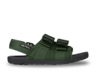 Cedar Green