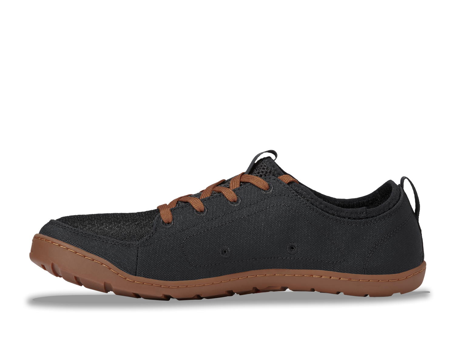 Black/Brown